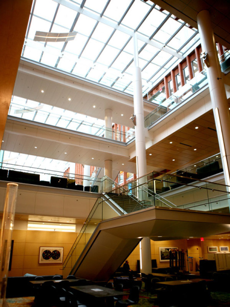 Skylights from Ross provide lighting to the lower level