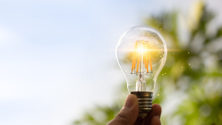 lightbulb outside with greenery in the background