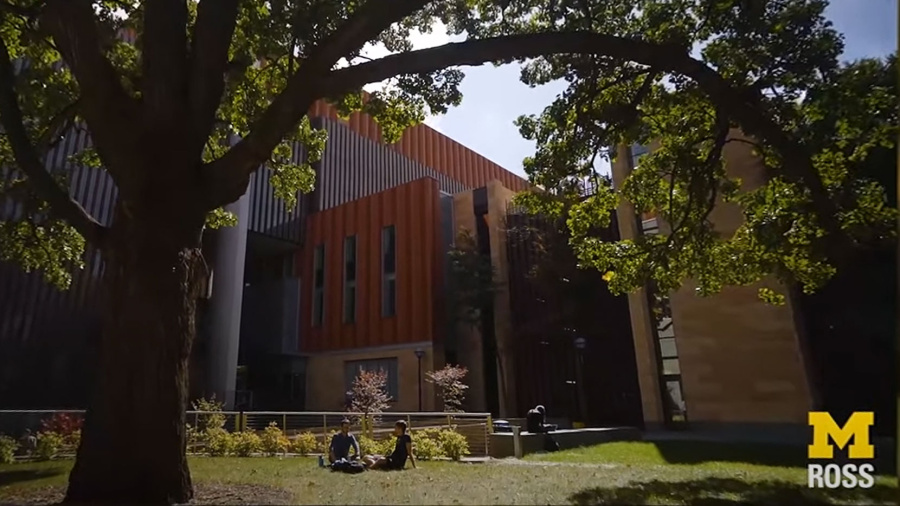 Students sitting underneath a tree